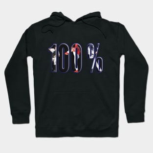 100% Baseball Hoodie